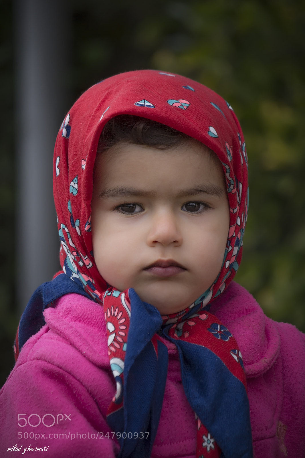 Canon EOS 60D sample photo. Untitled photography
