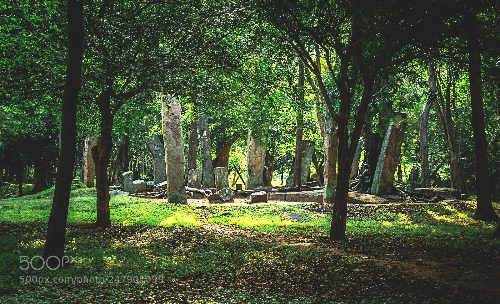 Canon EOS 600D (Rebel EOS T3i / EOS Kiss X5) sample photo. The forgotten temple, sri photography