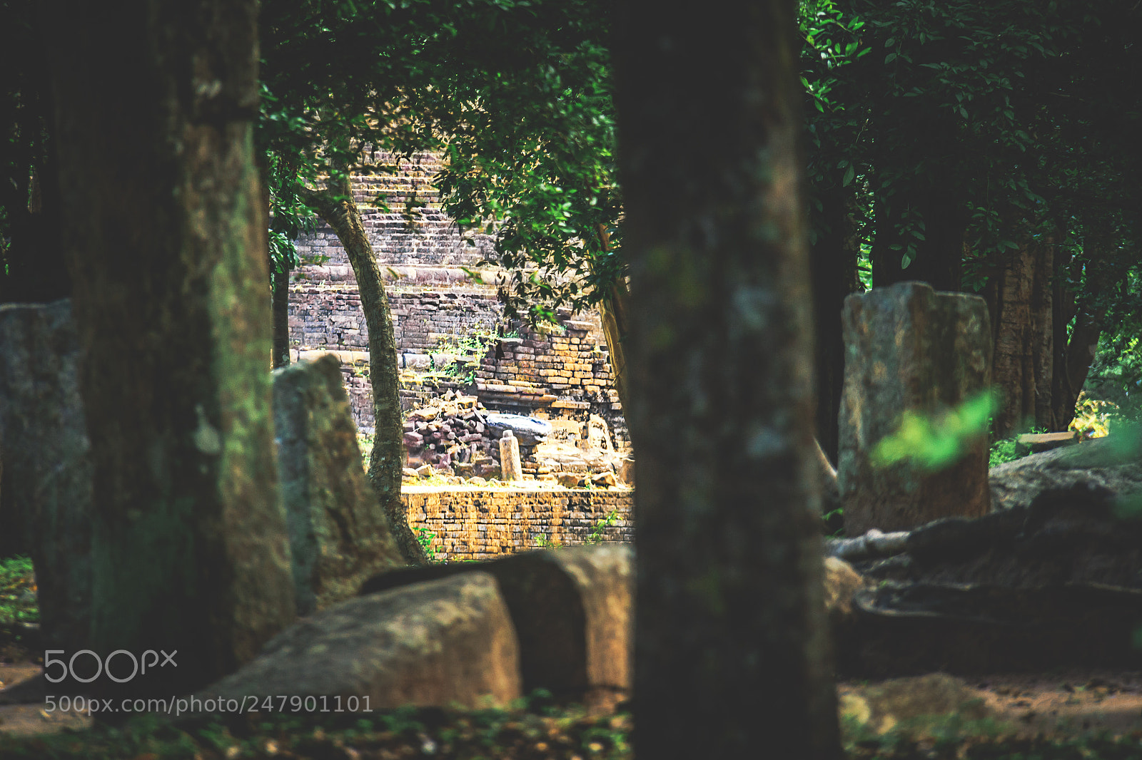 Canon EOS 600D (Rebel EOS T3i / EOS Kiss X5) sample photo. The forgotten temple, sri photography