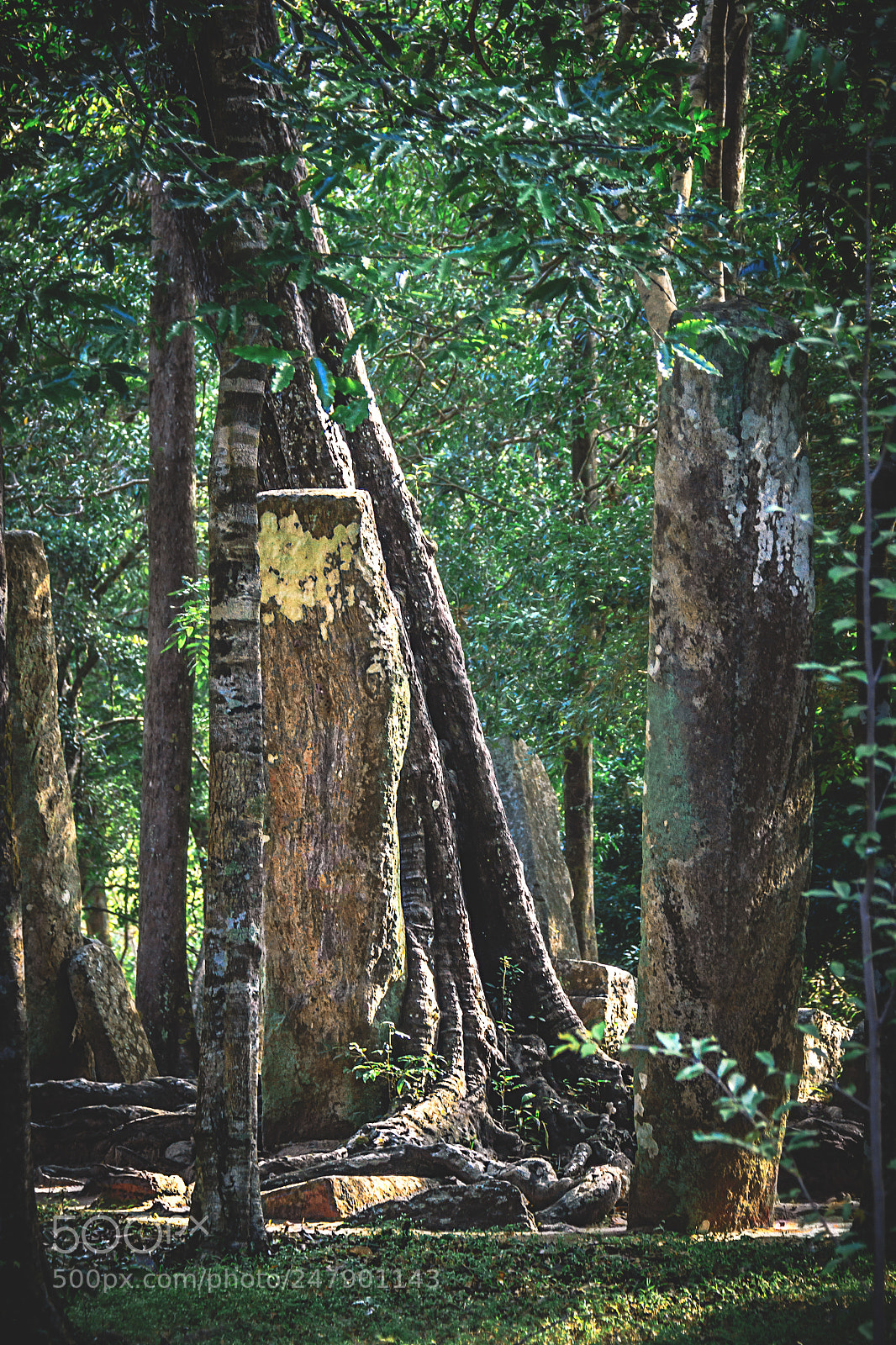 Canon EOS 600D (Rebel EOS T3i / EOS Kiss X5) sample photo. The forgotten temple, sri photography