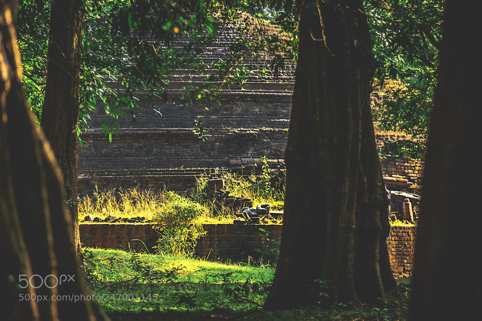 Canon EOS 600D (Rebel EOS T3i / EOS Kiss X5) sample photo. The forgotten temple, sri photography