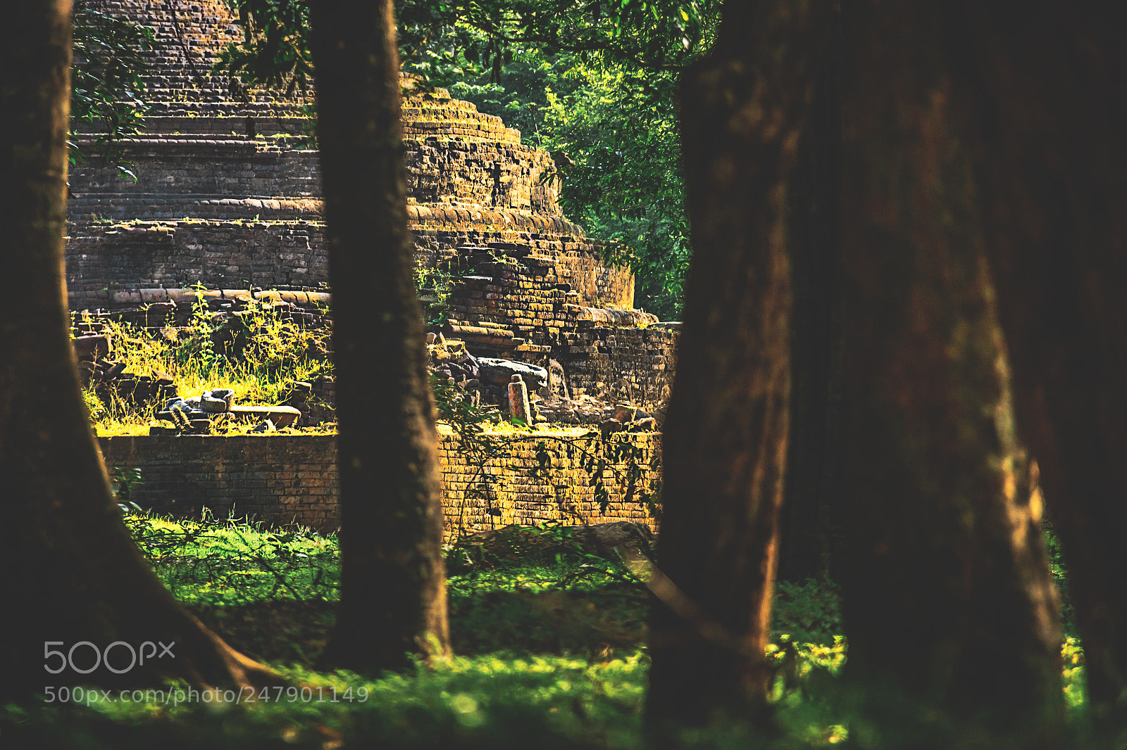 Canon EOS 600D (Rebel EOS T3i / EOS Kiss X5) sample photo. The forgotten temple, sri photography