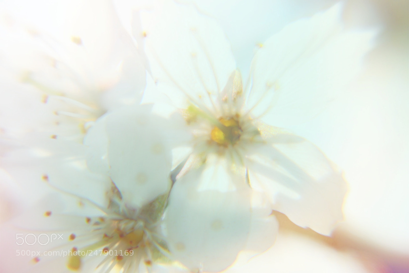 Canon EOS 80D sample photo. 空明 photography
