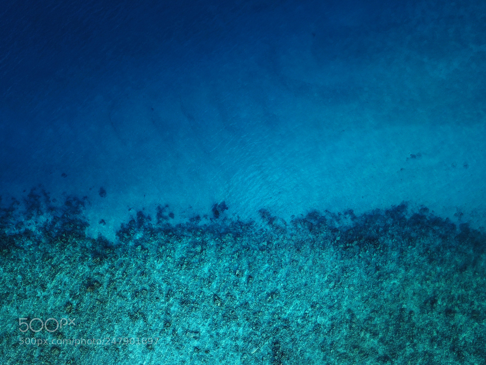 DJI FC220 sample photo. Aerial view of corals photography