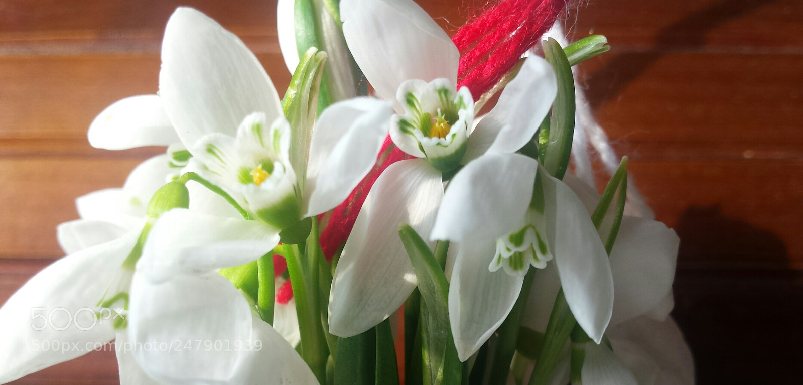 Samsung Galaxy S4 sample photo. Untitled photography