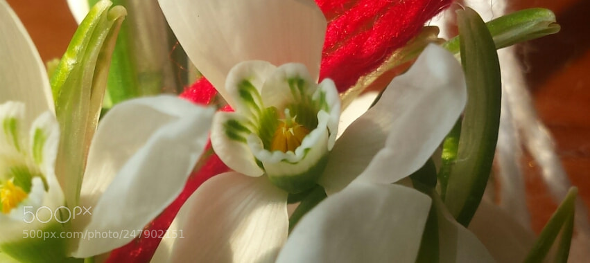 Samsung Galaxy S4 sample photo. Untitled photography