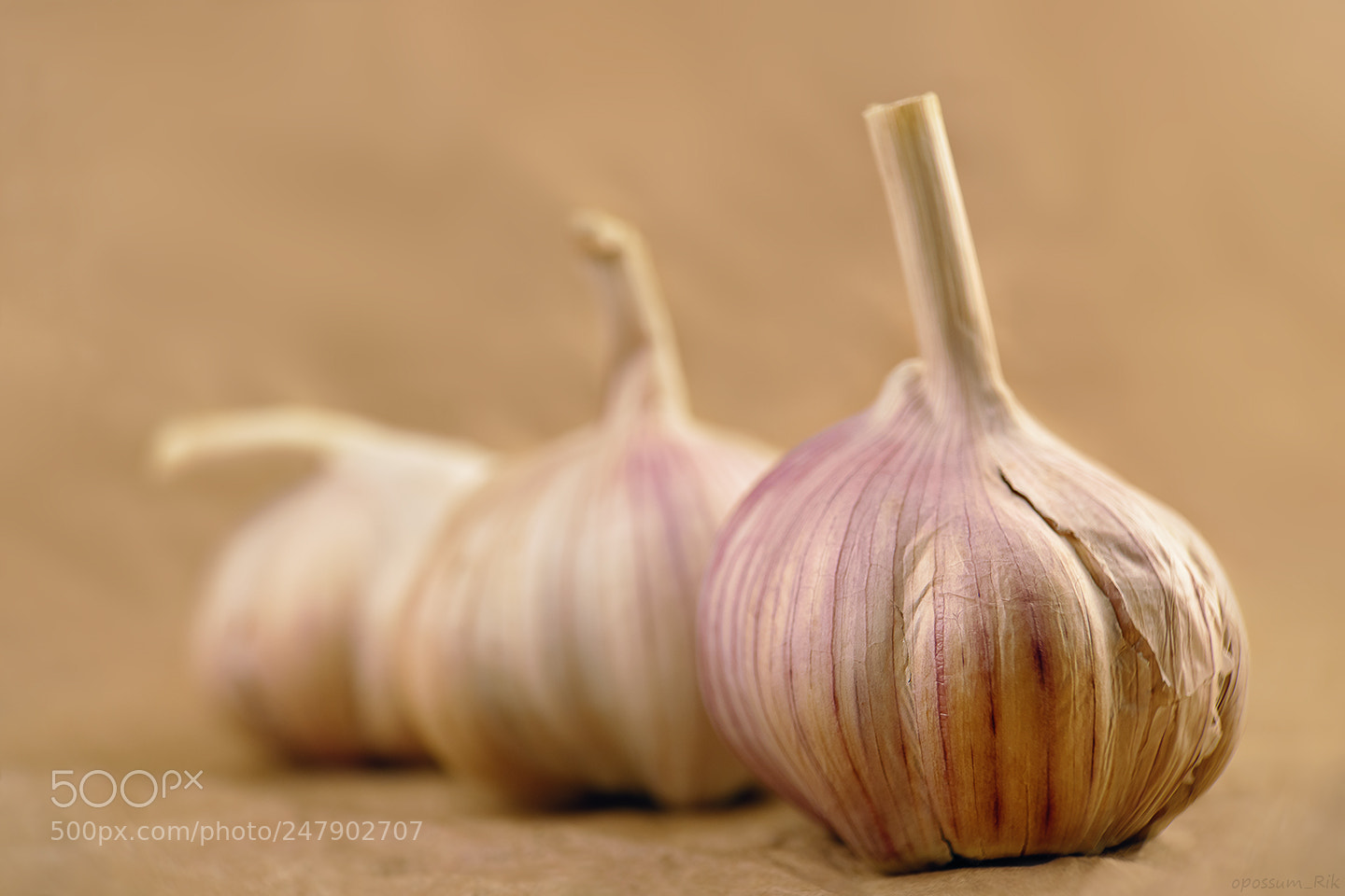 Panasonic Lumix DMC-FZ1000 sample photo. Garlic photography