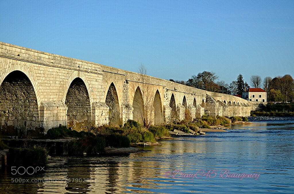 Nikon D5100 sample photo. Untitled photography
