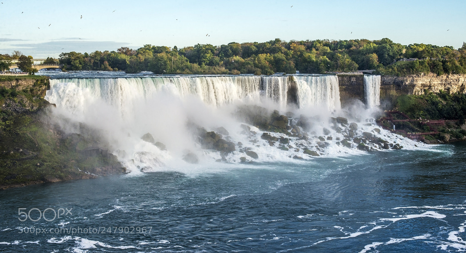 Nikon D600 sample photo. Gulls over falls! (1) photography