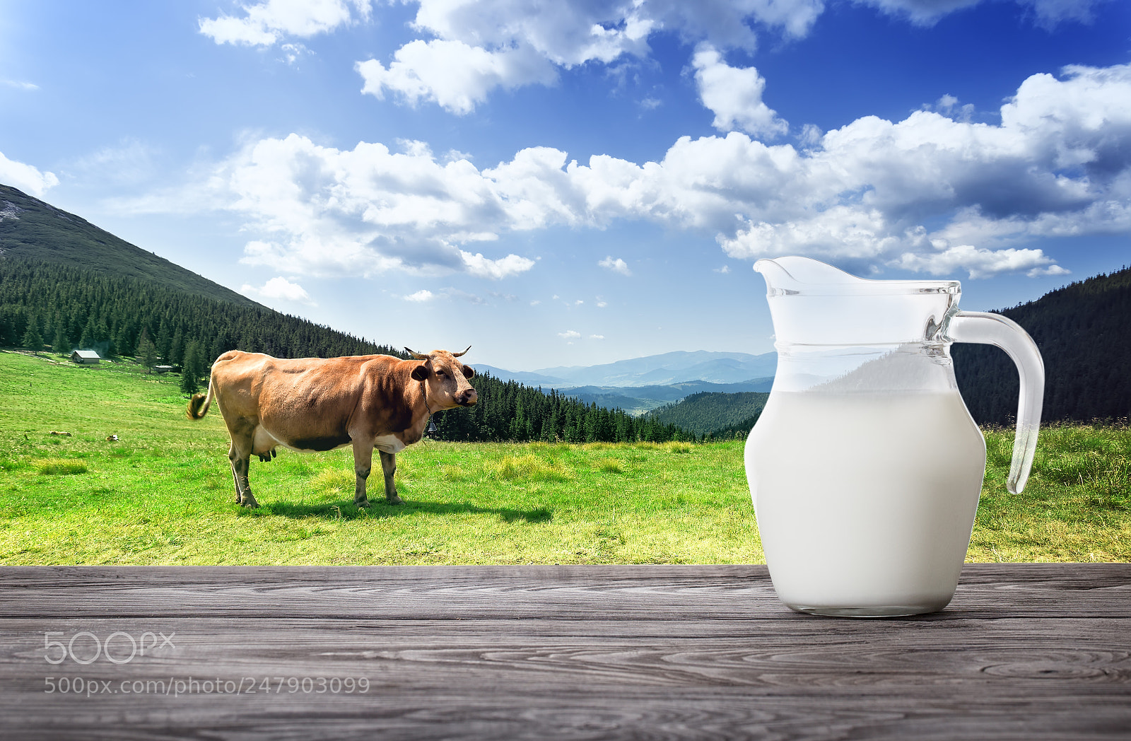Canon EOS 6D sample photo. Jug of milk against photography