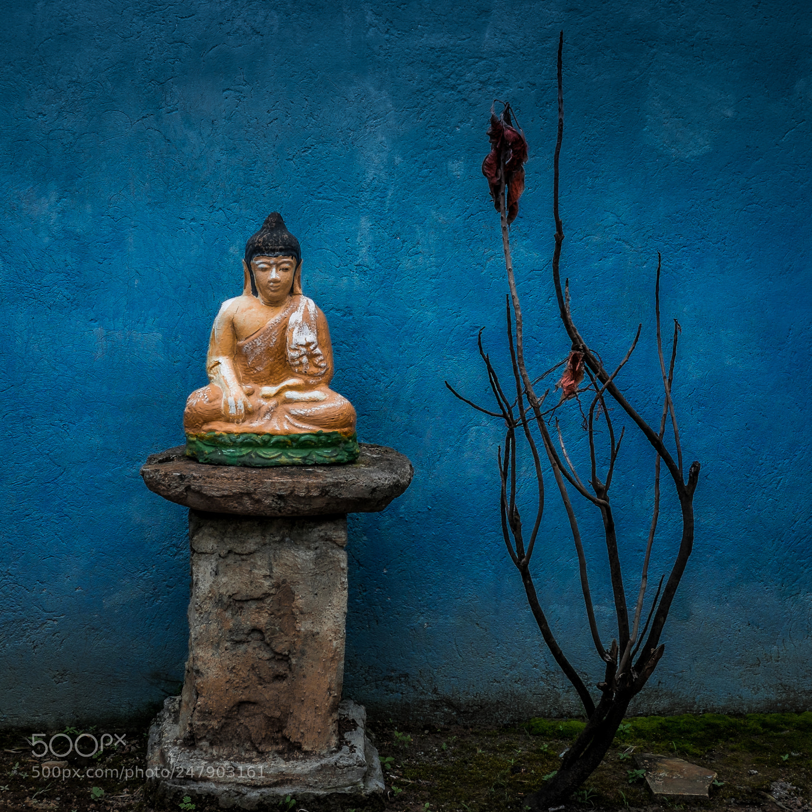 Fujifilm X-E1 sample photo. Buddha is everywhere photography