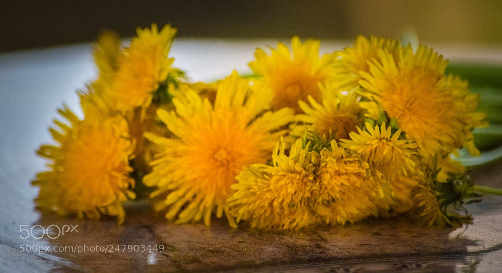 Nikon D7100 sample photo. Untitled photography
