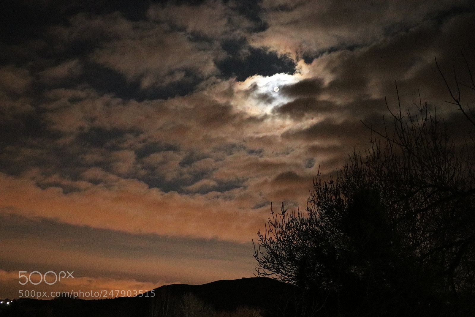 Canon EOS 80D sample photo. Cloudy moonlight photography