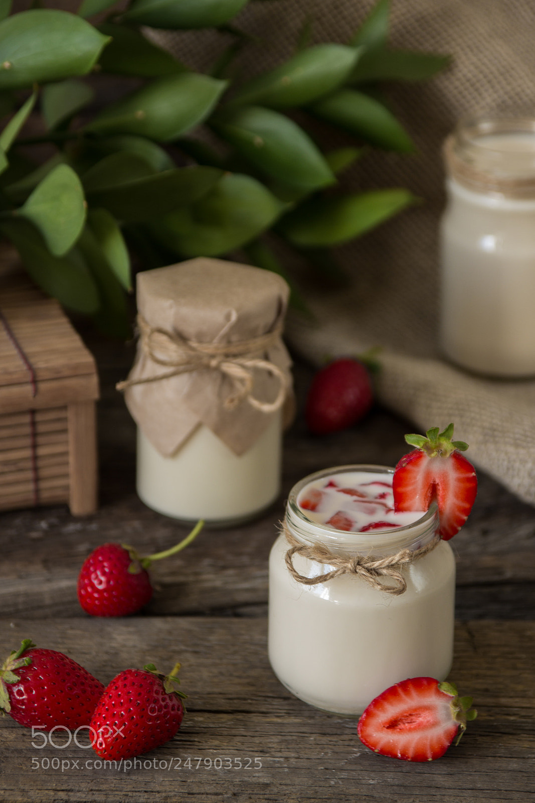 Canon EOS 600D (Rebel EOS T3i / EOS Kiss X5) sample photo. Organic yougurt in jar photography