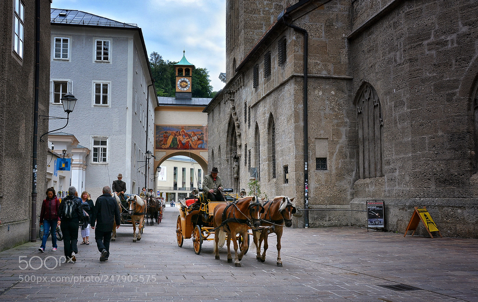 Nikon D7100 sample photo. The horses of sulzburg   (2) photography
