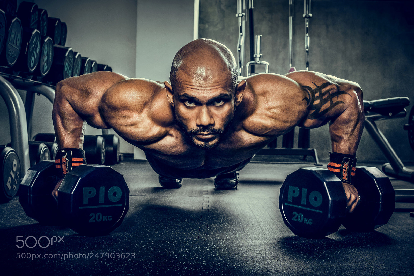 Nikon D810 sample photo. Fitness potrait photography