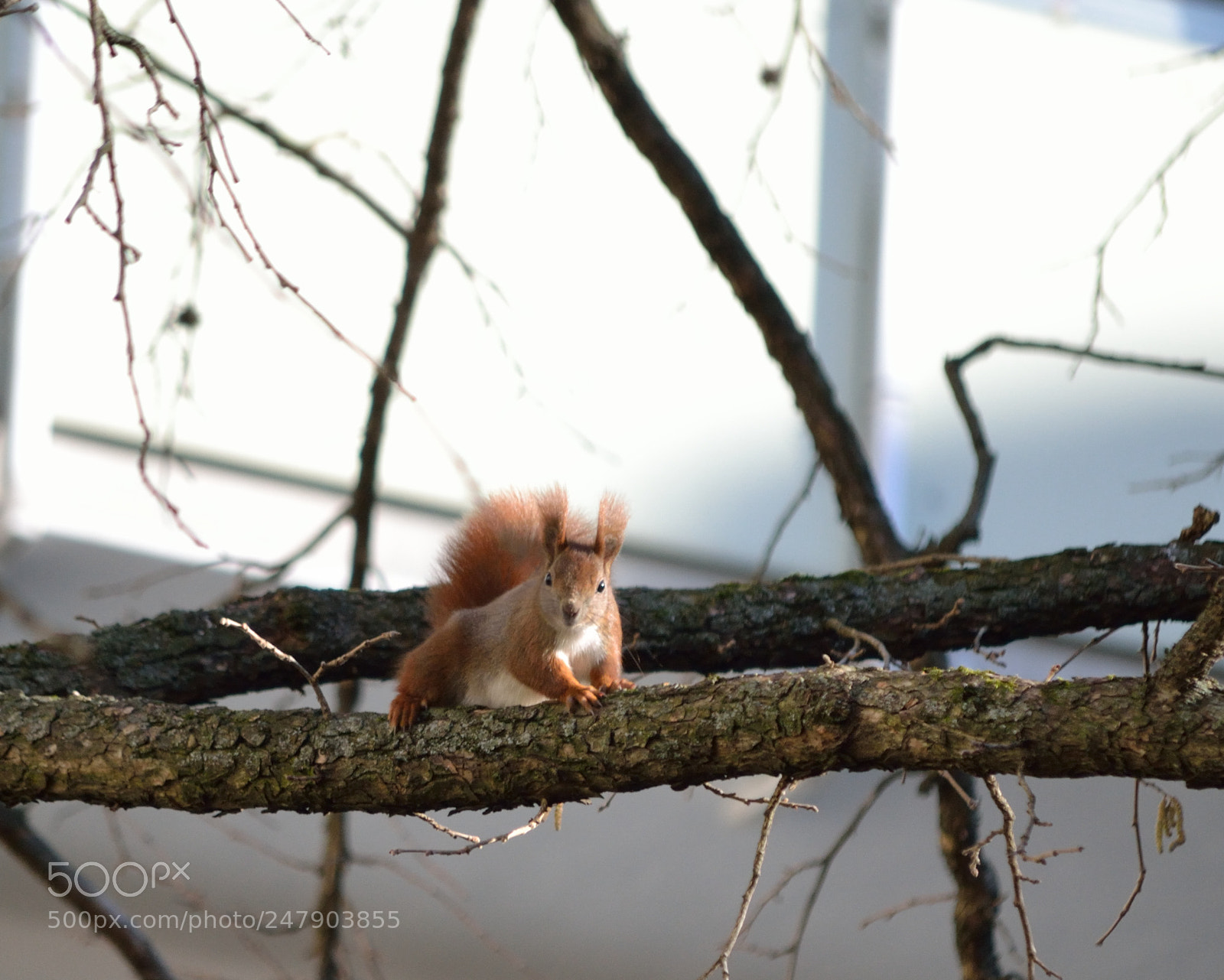 Nikon D3100 sample photo. What's the fella with photography