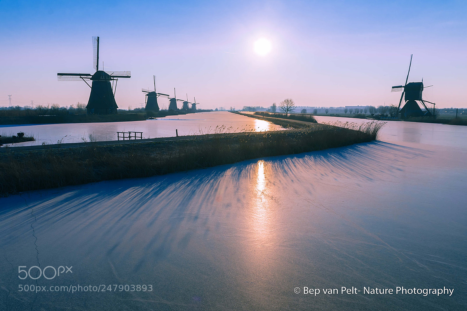 Nikon D500 sample photo. Frozen waterland at kinderdijk photography