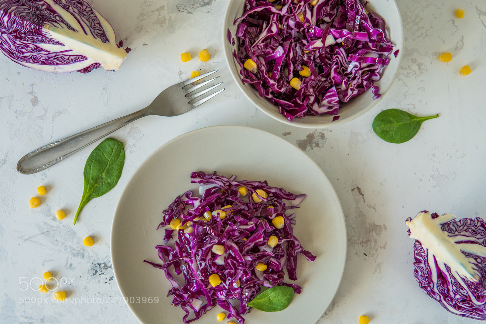 Sony a6500 sample photo. Fresh red cabbage salad photography