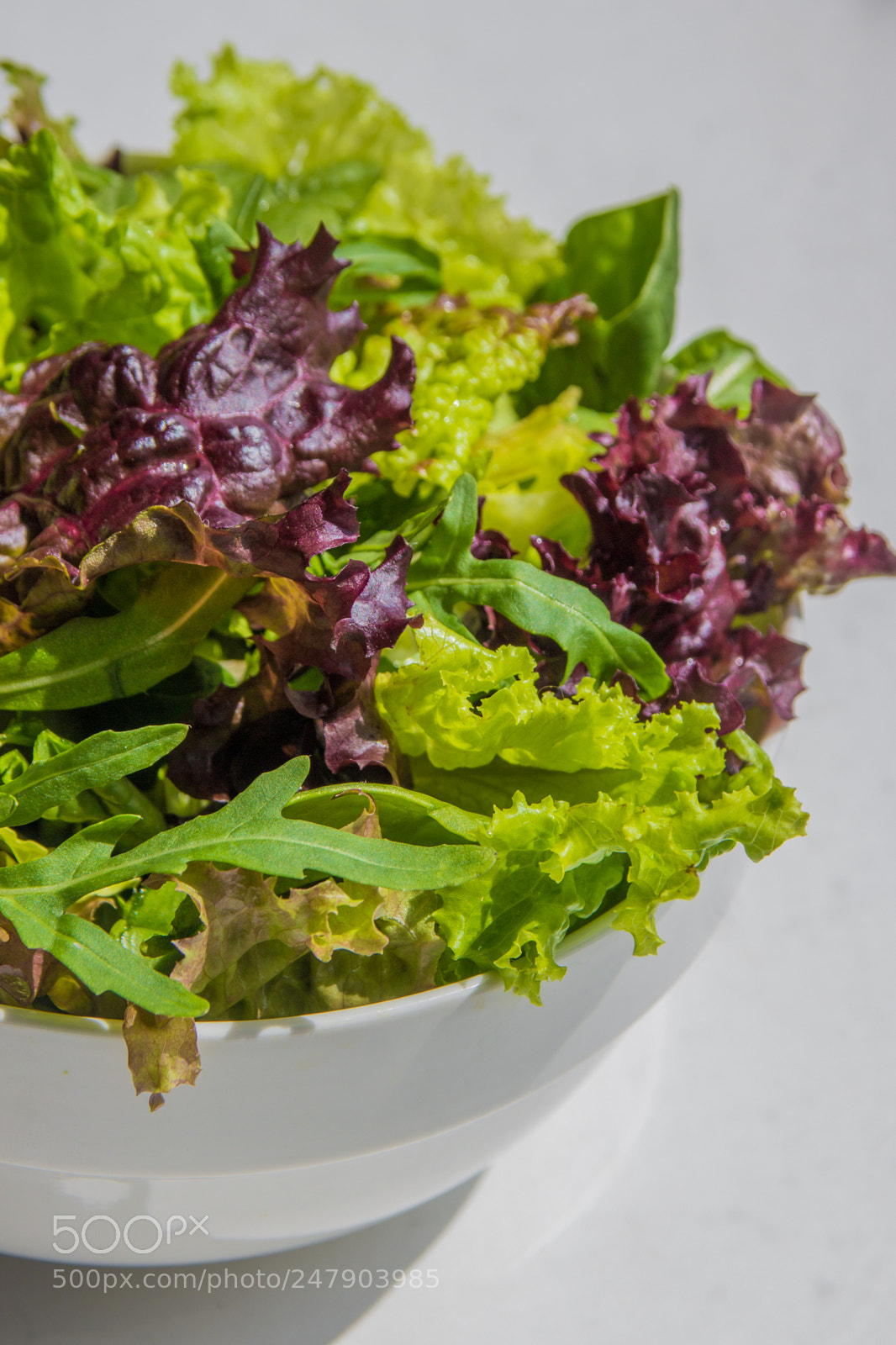 Canon EOS 600D (Rebel EOS T3i / EOS Kiss X5) sample photo. Salad leaves, purple lettuce photography