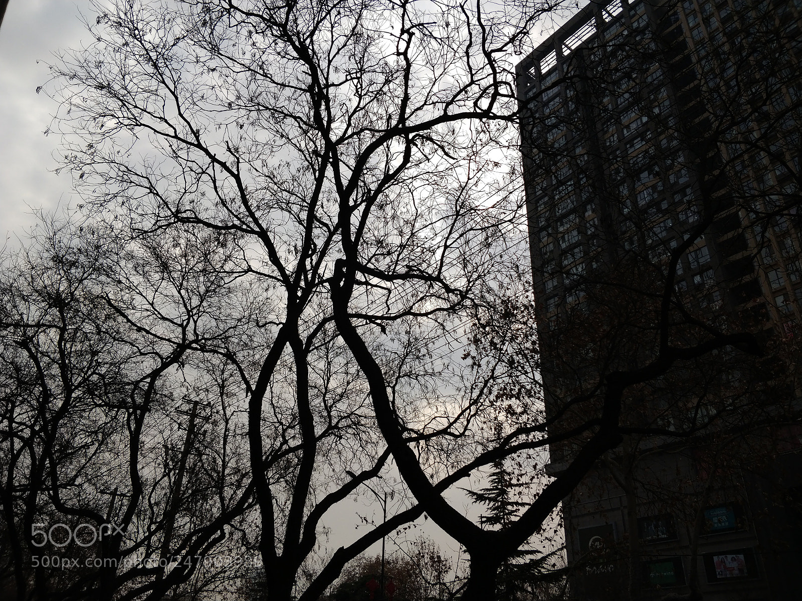 OnePlus 5T sample photo. Img_20180226_151153.jpg photography