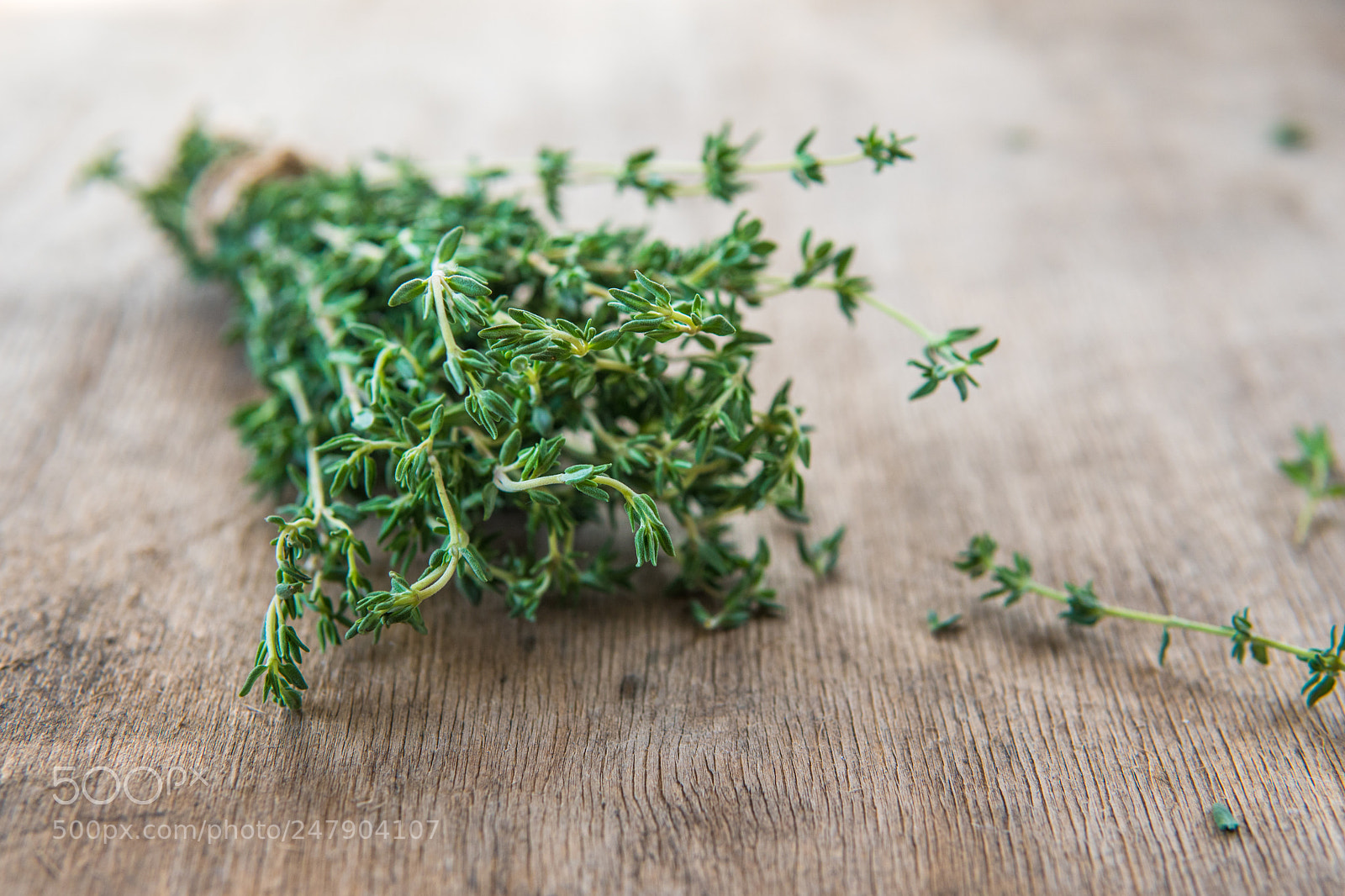Sony a6500 sample photo. Thyme bunch. bundle of photography
