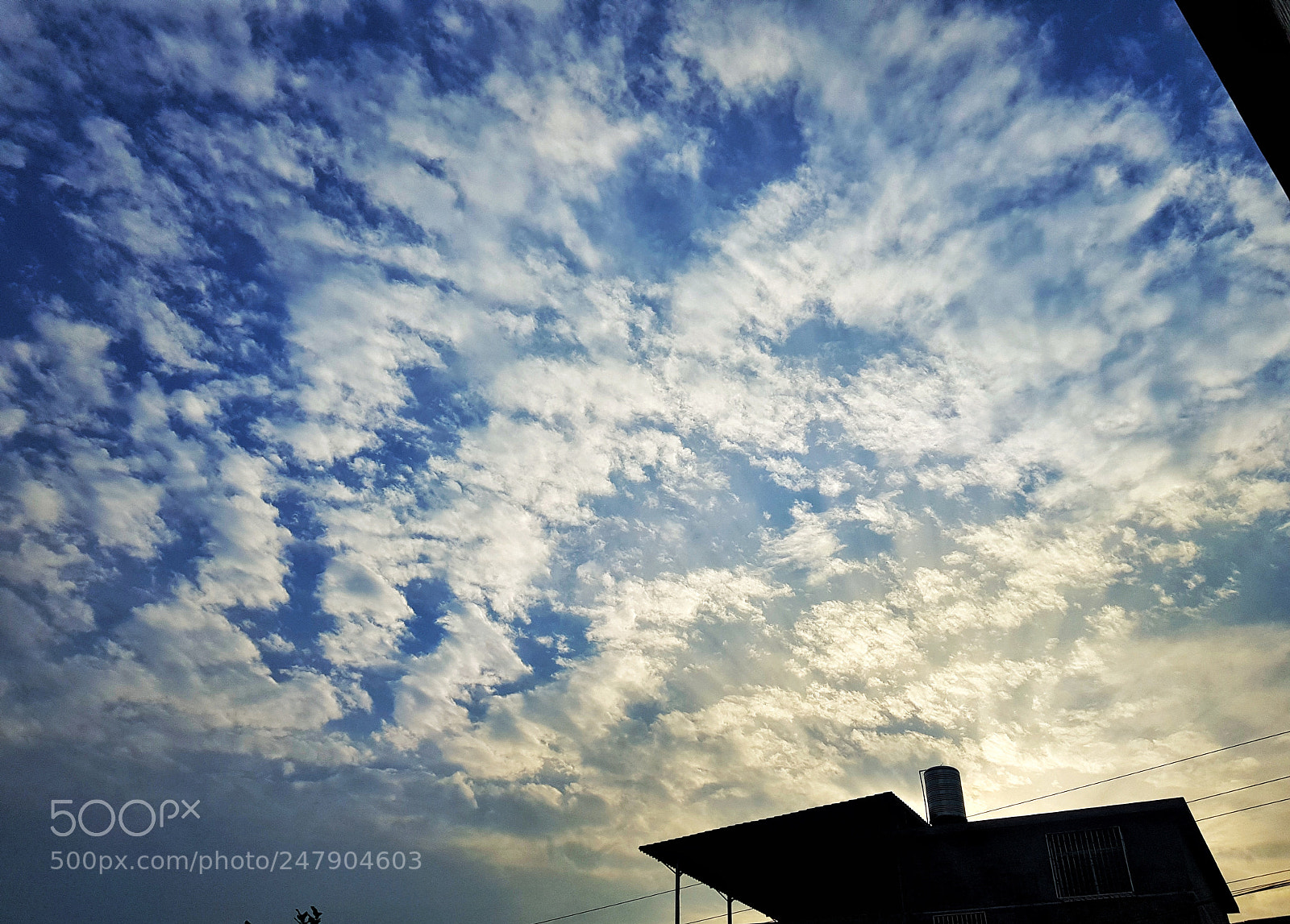 Samsung Galaxy S8+ sample photo. Clear sky warm sun photography