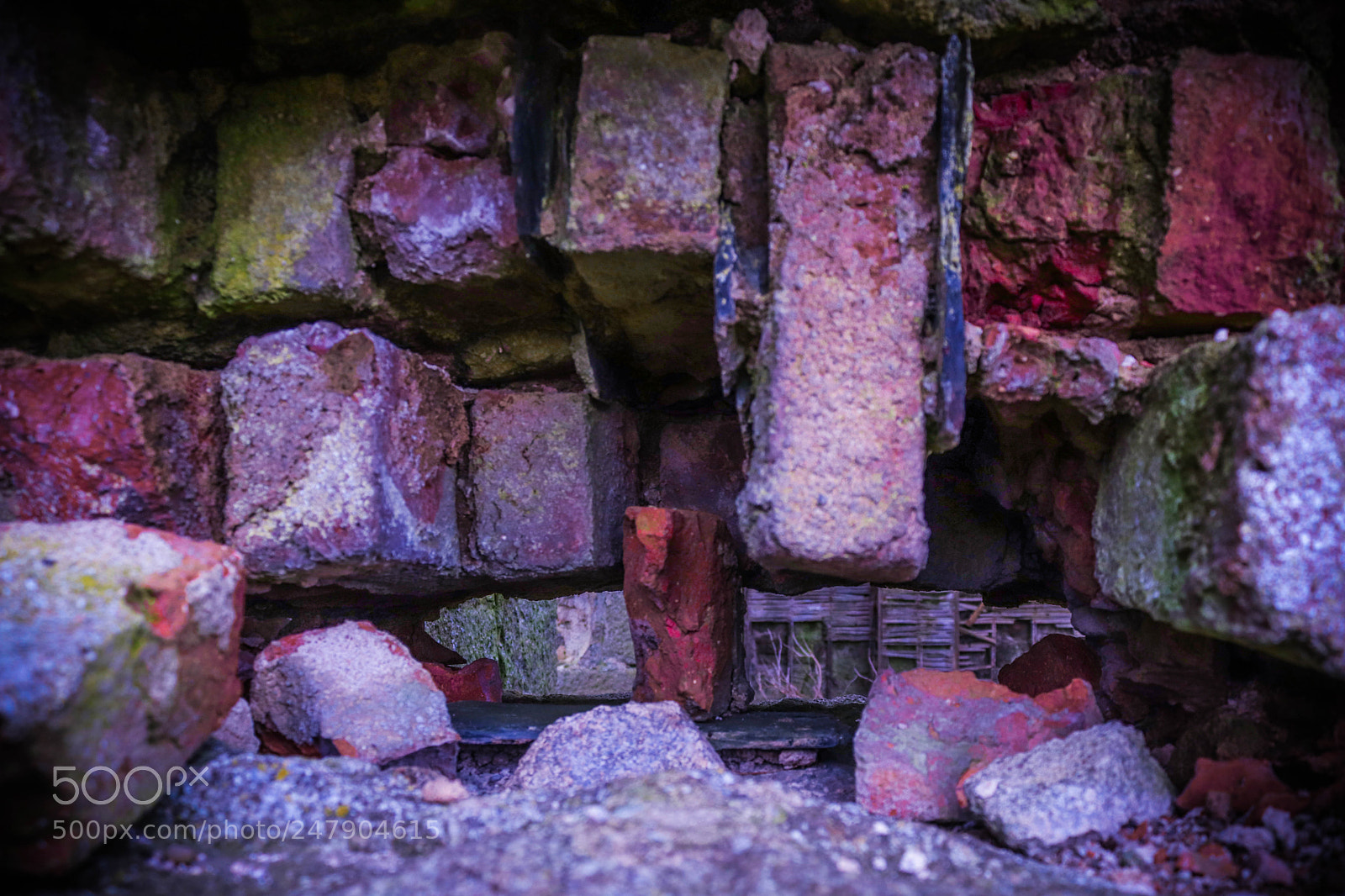 Canon EOS 200D (EOS Rebel SL2 / EOS Kiss X9) sample photo. Bricks of uniquity photography