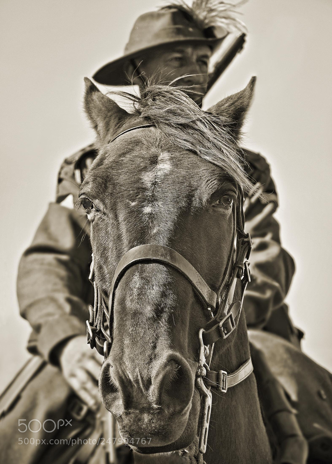 Canon EOS 1000D (EOS Digital Rebel XS / EOS Kiss F) sample photo. Light horseman photography
