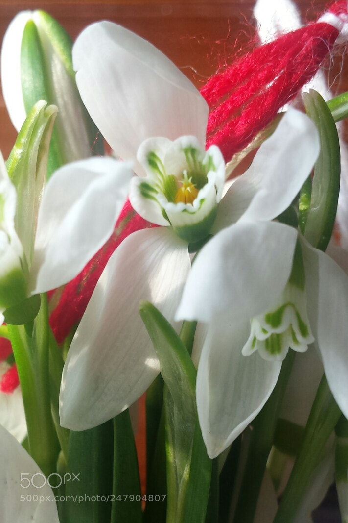 Samsung Galaxy S4 sample photo. Untitled photography