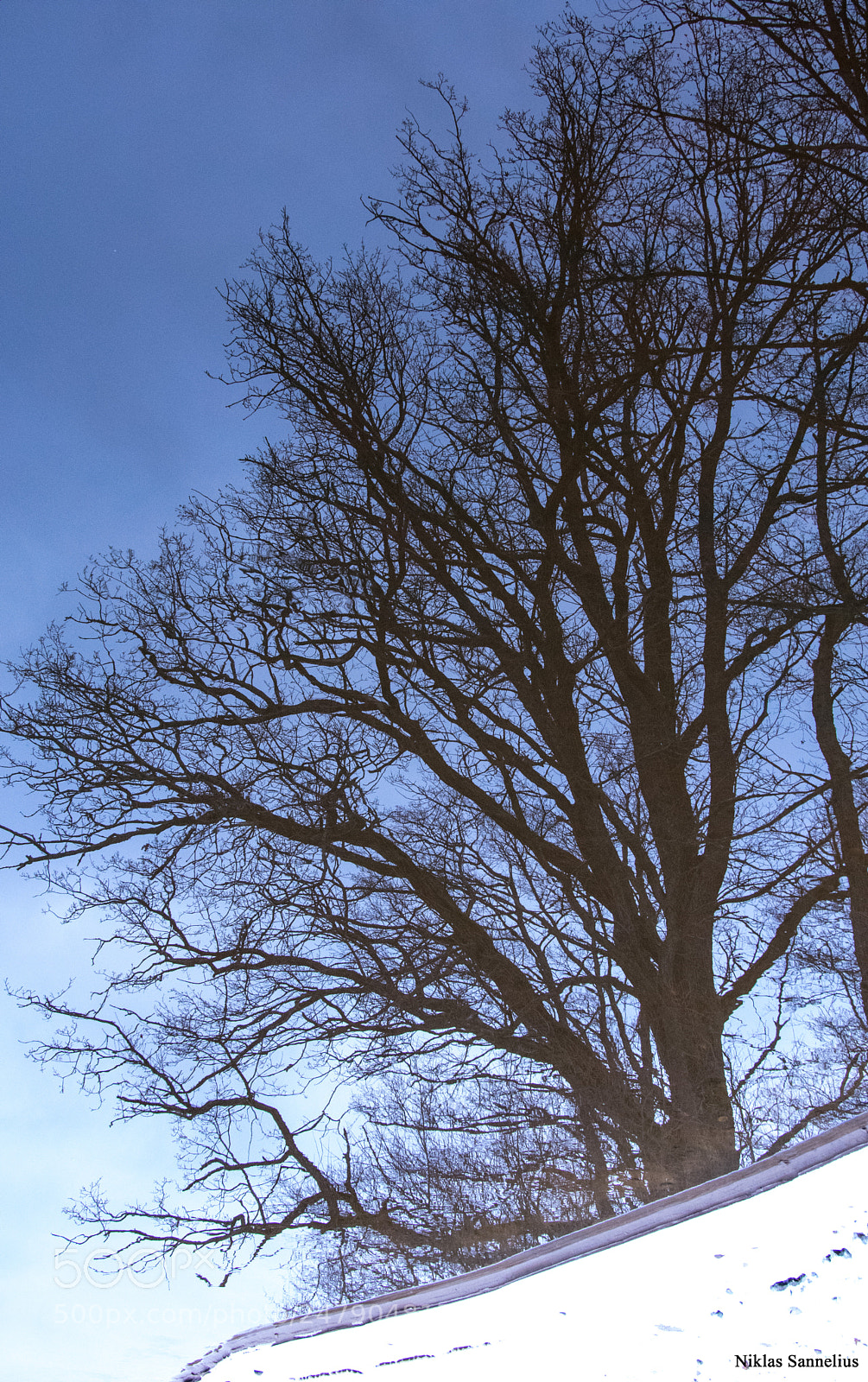 Nikon D3400 sample photo. Träd gemte å, vidablick! photography