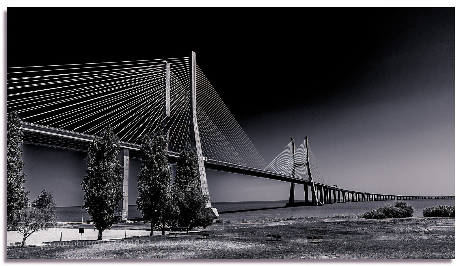 Nikon D610 sample photo. Vasco de gama photography