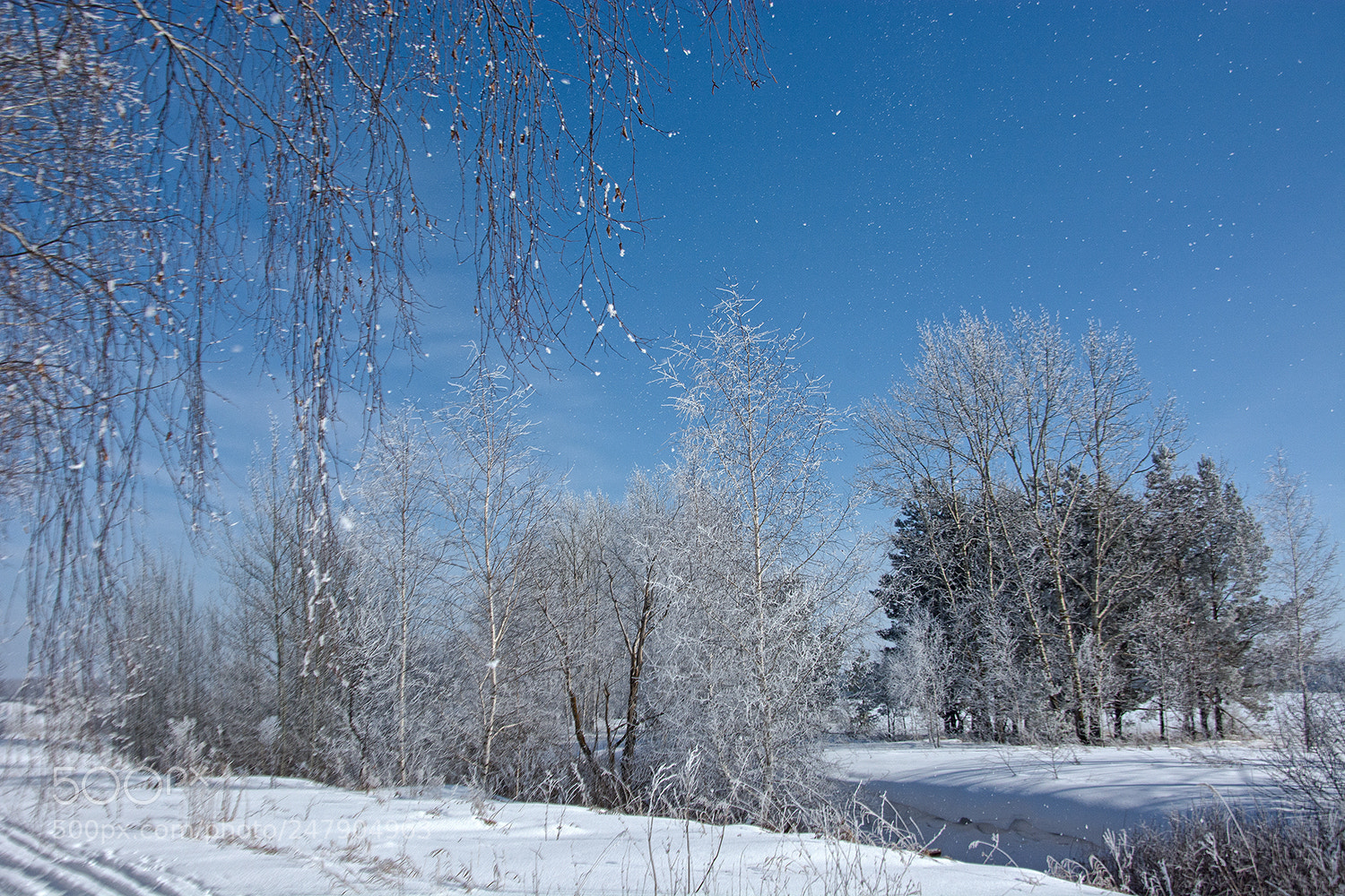 Nikon D7100 sample photo. Искрится иней серебром... и тихо падает, кружась... photography