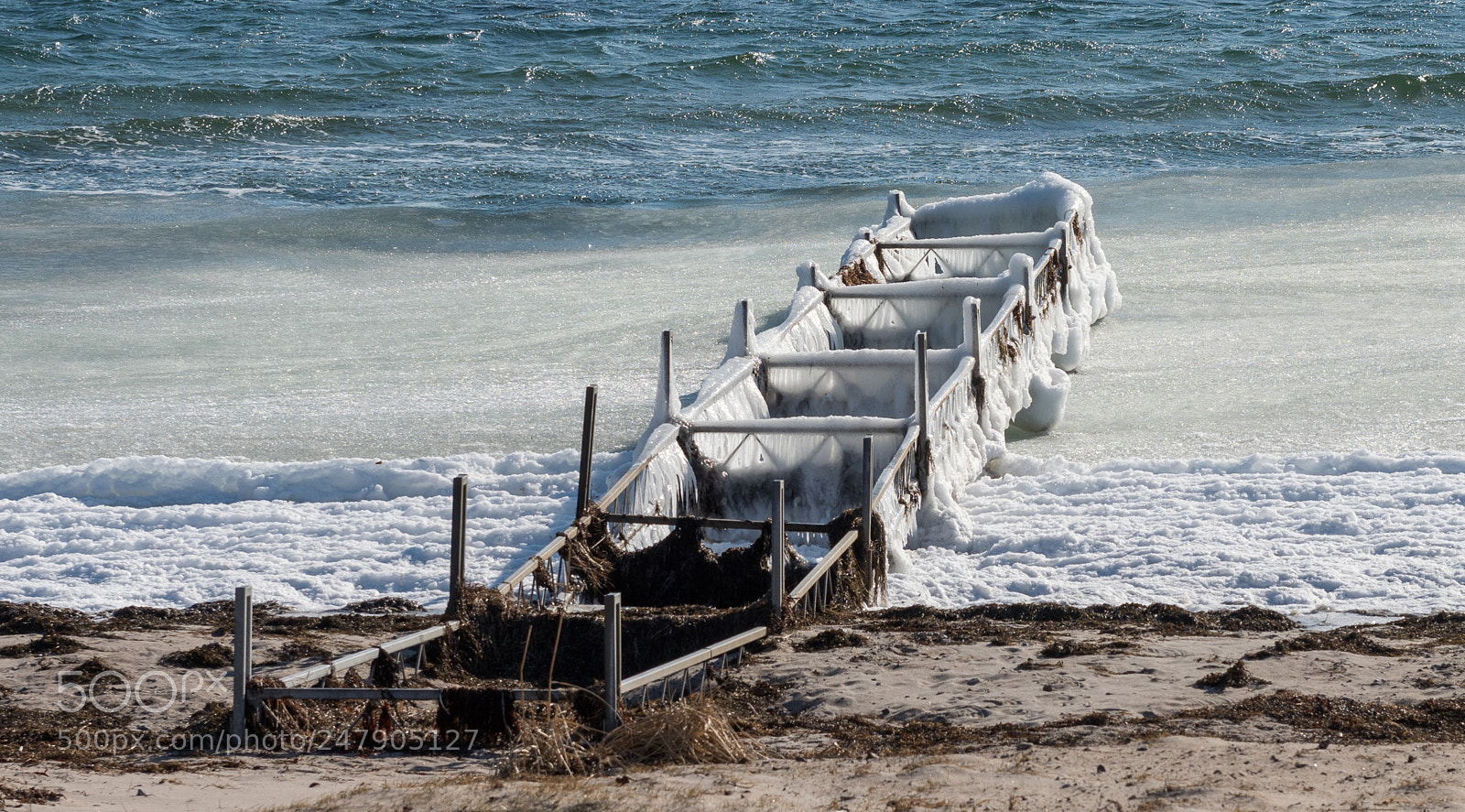 Nikon D810 sample photo. Frosty photography
