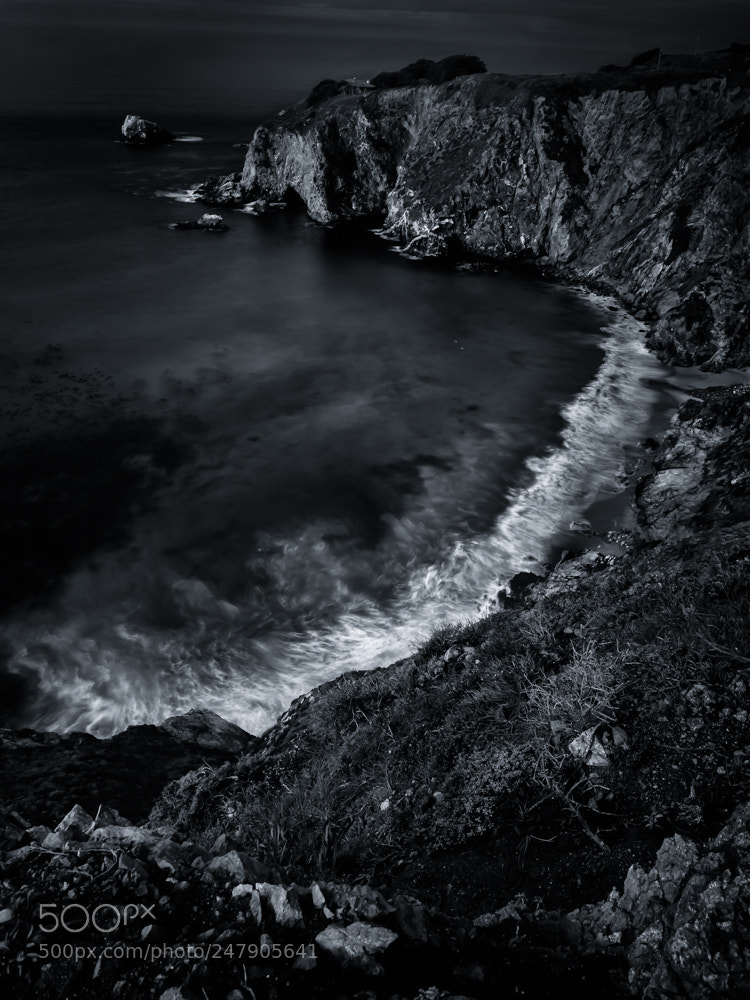 Olympus OM-D E-M1 sample photo. Path to the deep photography