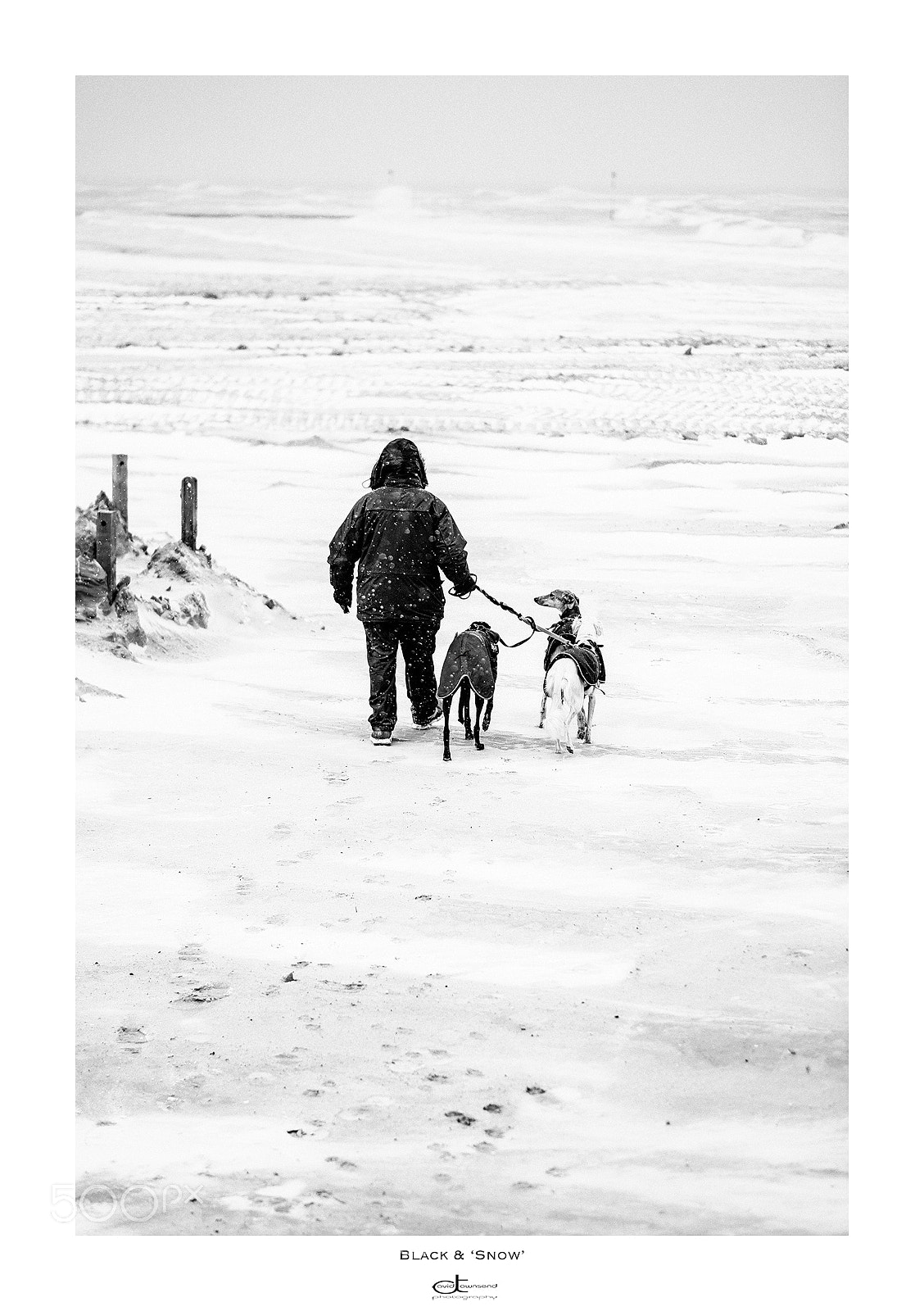 Fujifilm X-Pro2 sample photo. Black & 'snow' photography