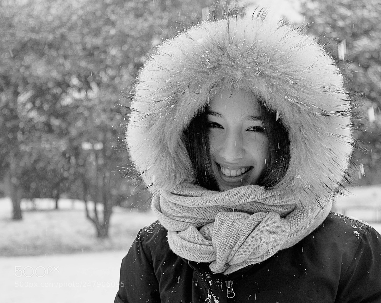 Nikon D5200 sample photo. Snowing photography
