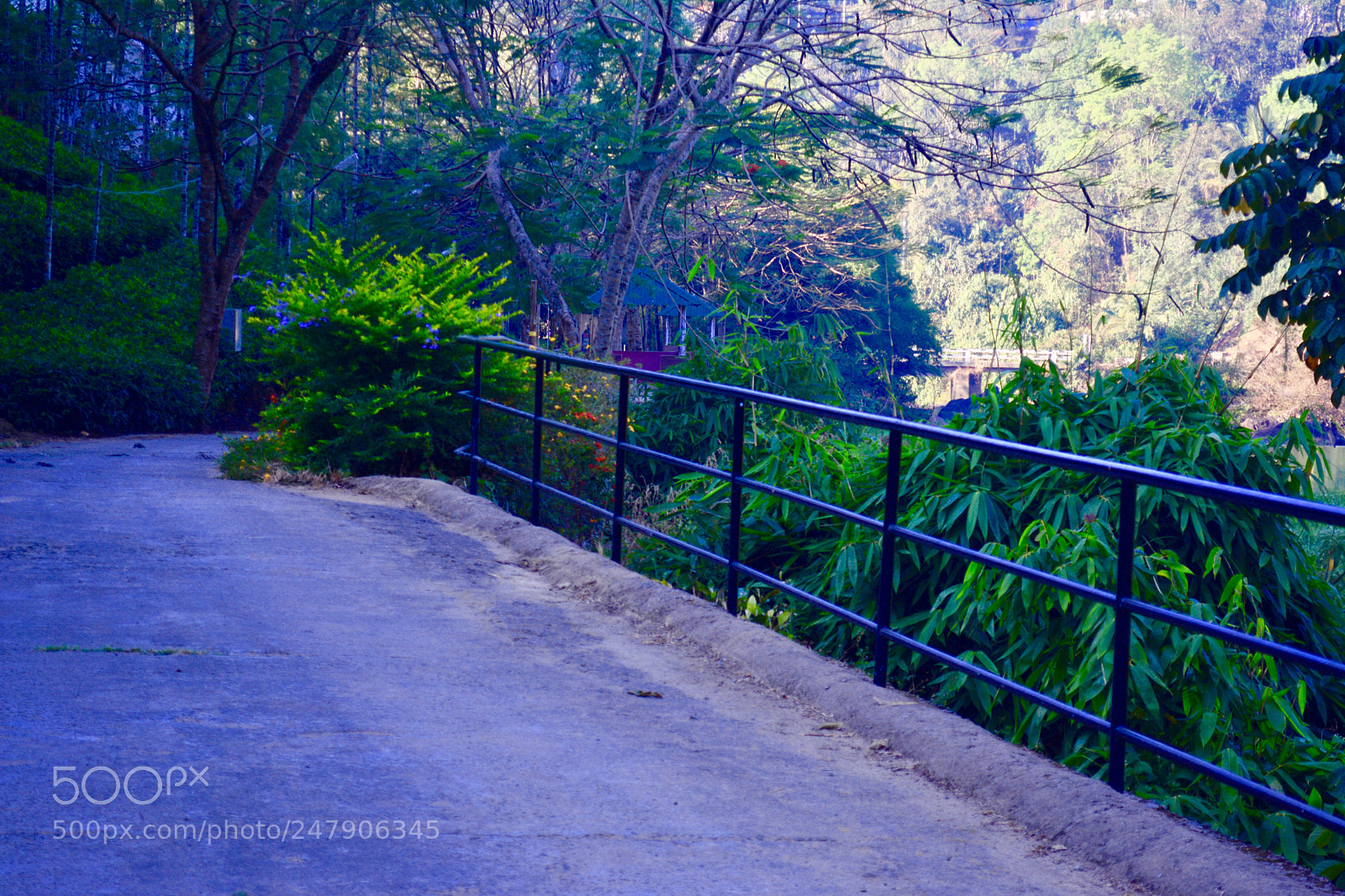 Nikon D5200 sample photo. Nice pic photography