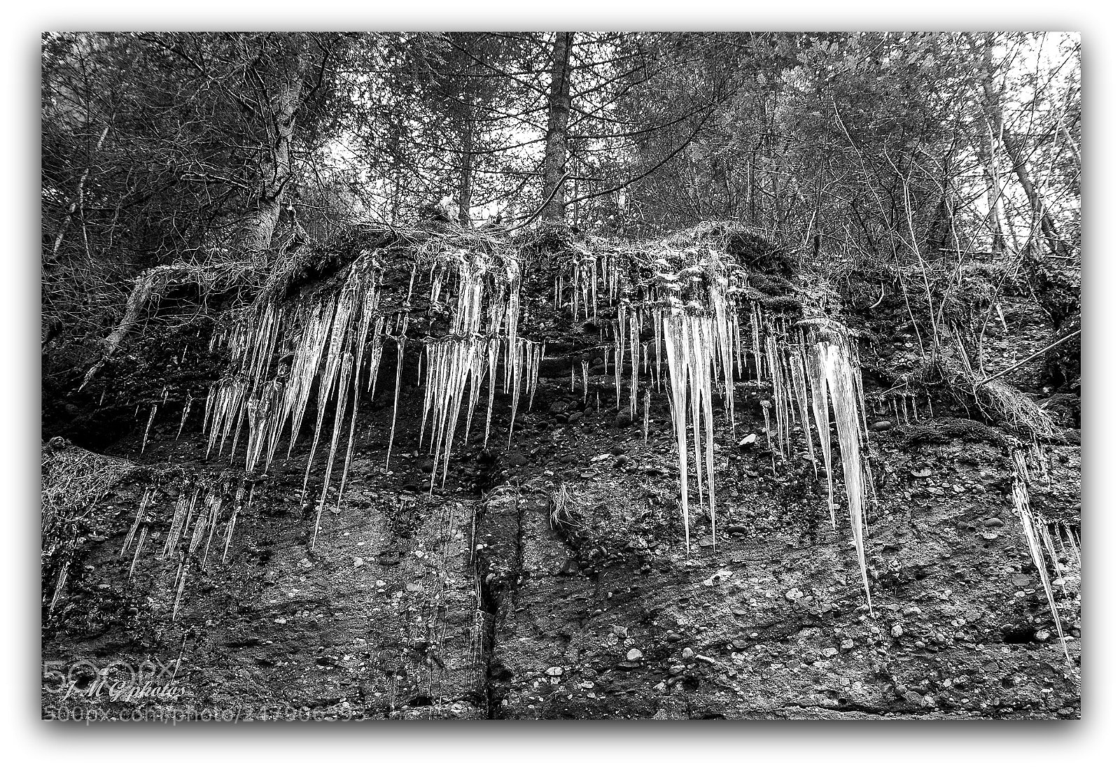 Pentax K-30 sample photo. Les orgues de dame photography