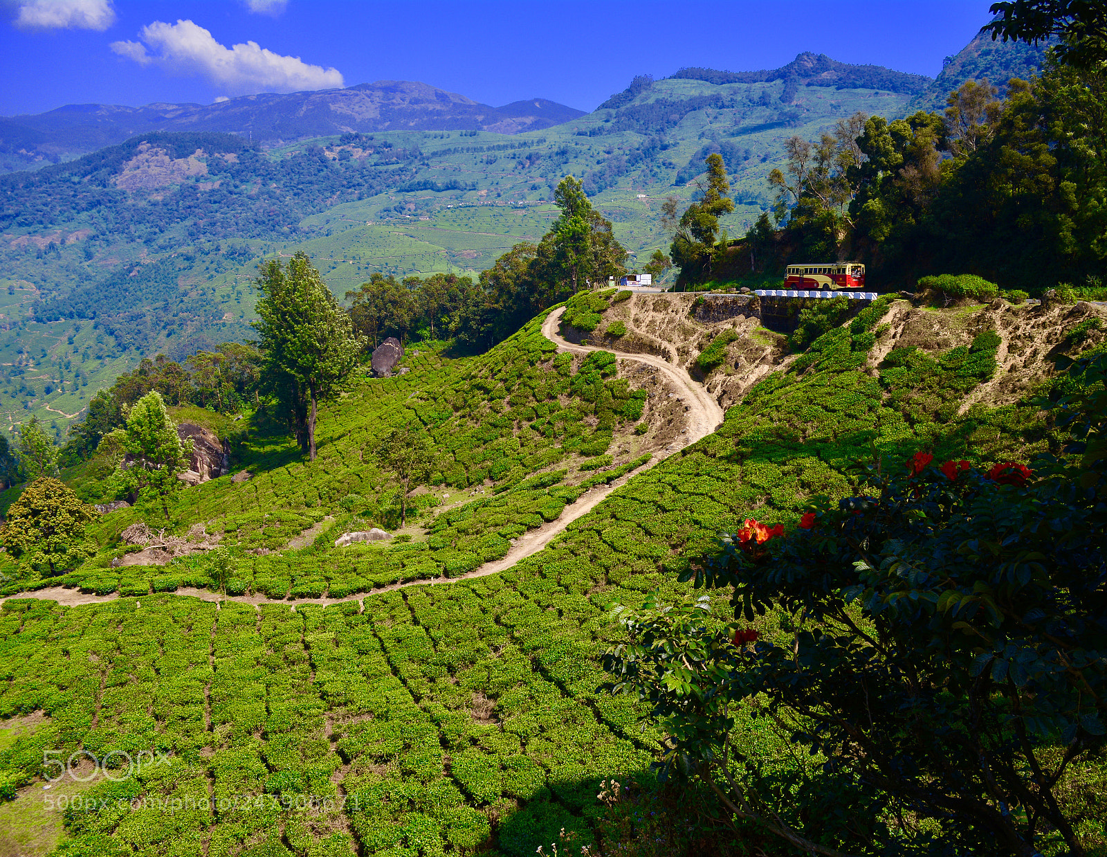 Nikon D5200 sample photo. Munnar road photography