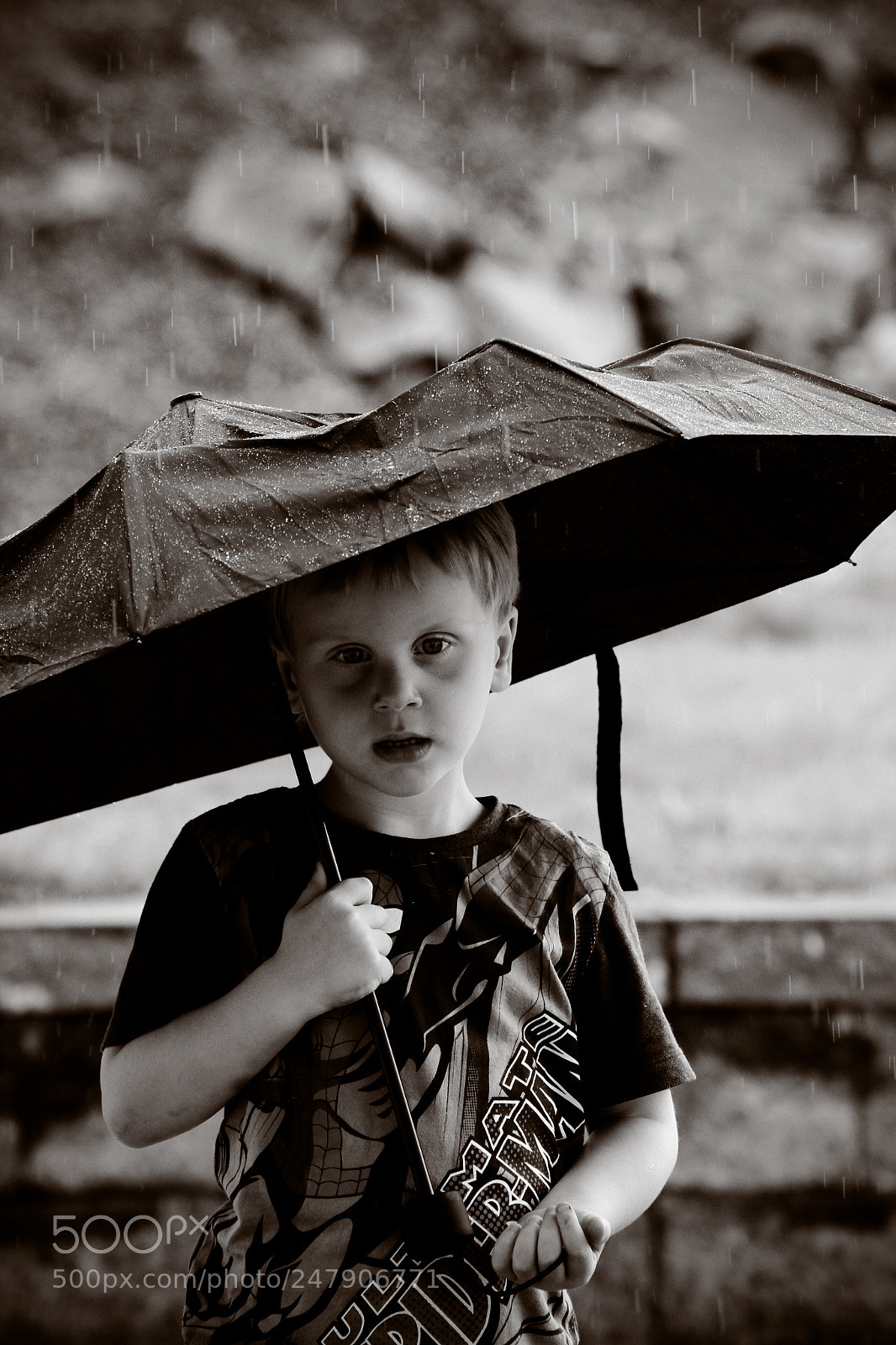 Canon EOS 7D sample photo. Some shelter from the photography