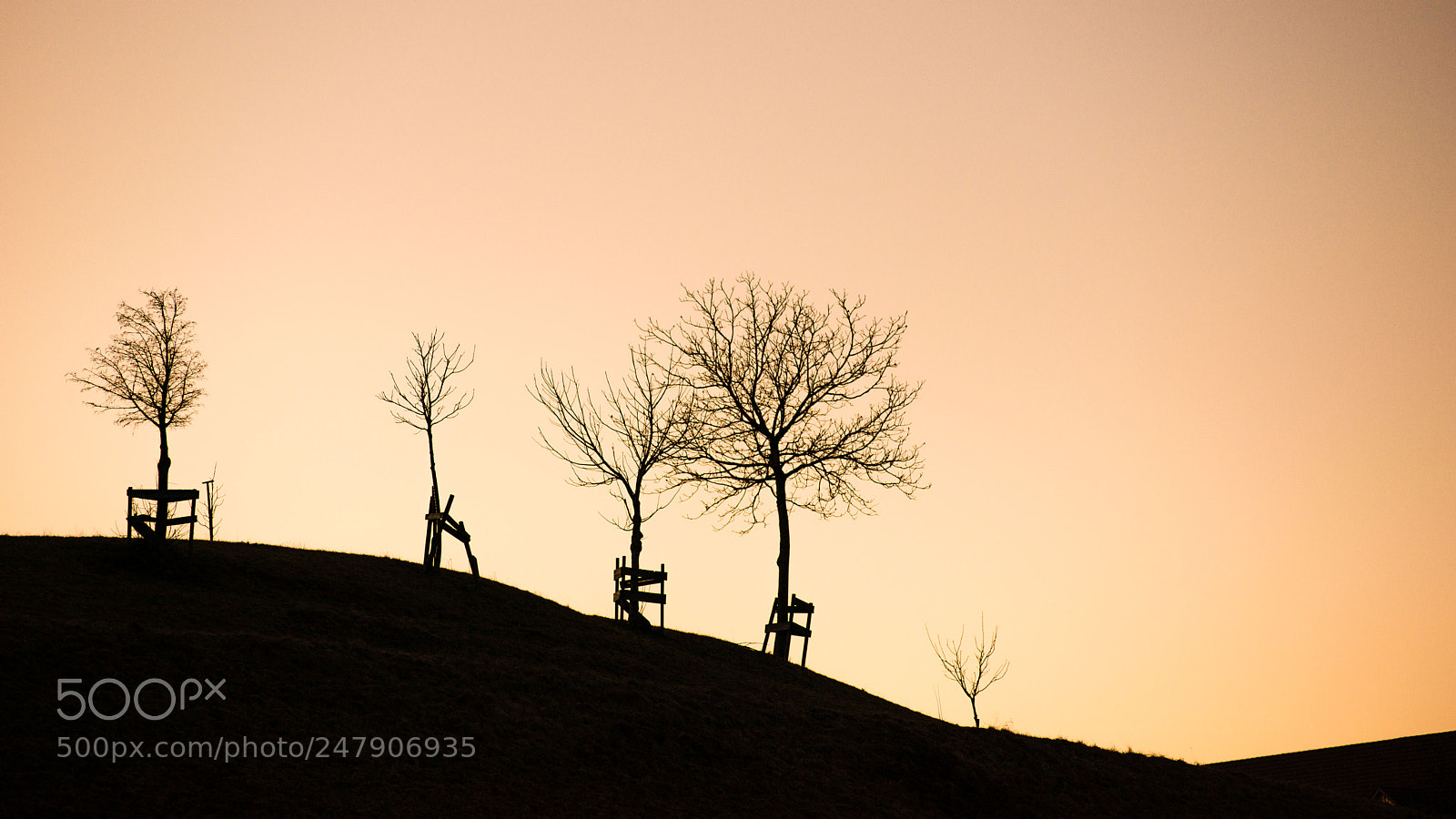 Nikon D800 sample photo. Hill silhouette photography