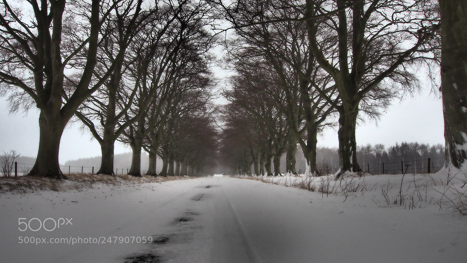 Olympus OM-D E-M1 sample photo. Snowy perthshire photography