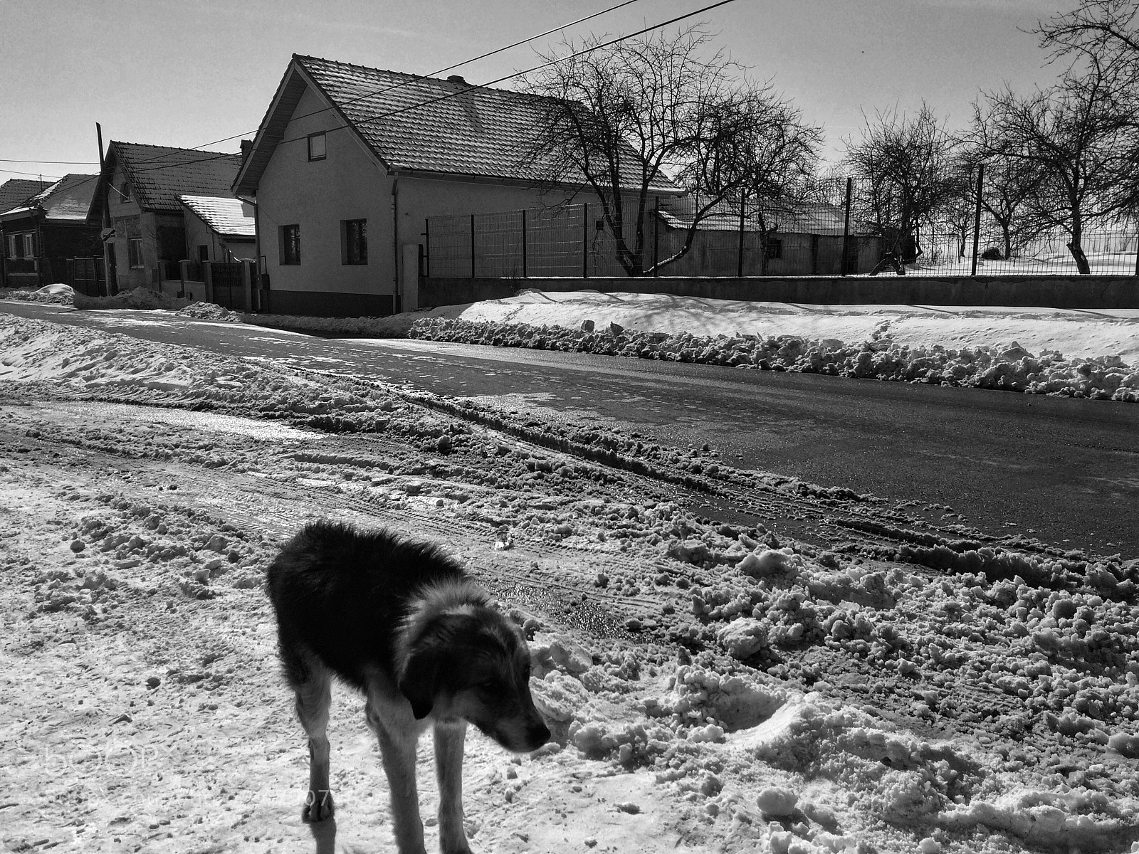 Apple iPhone 5s sample photo. B&w photography