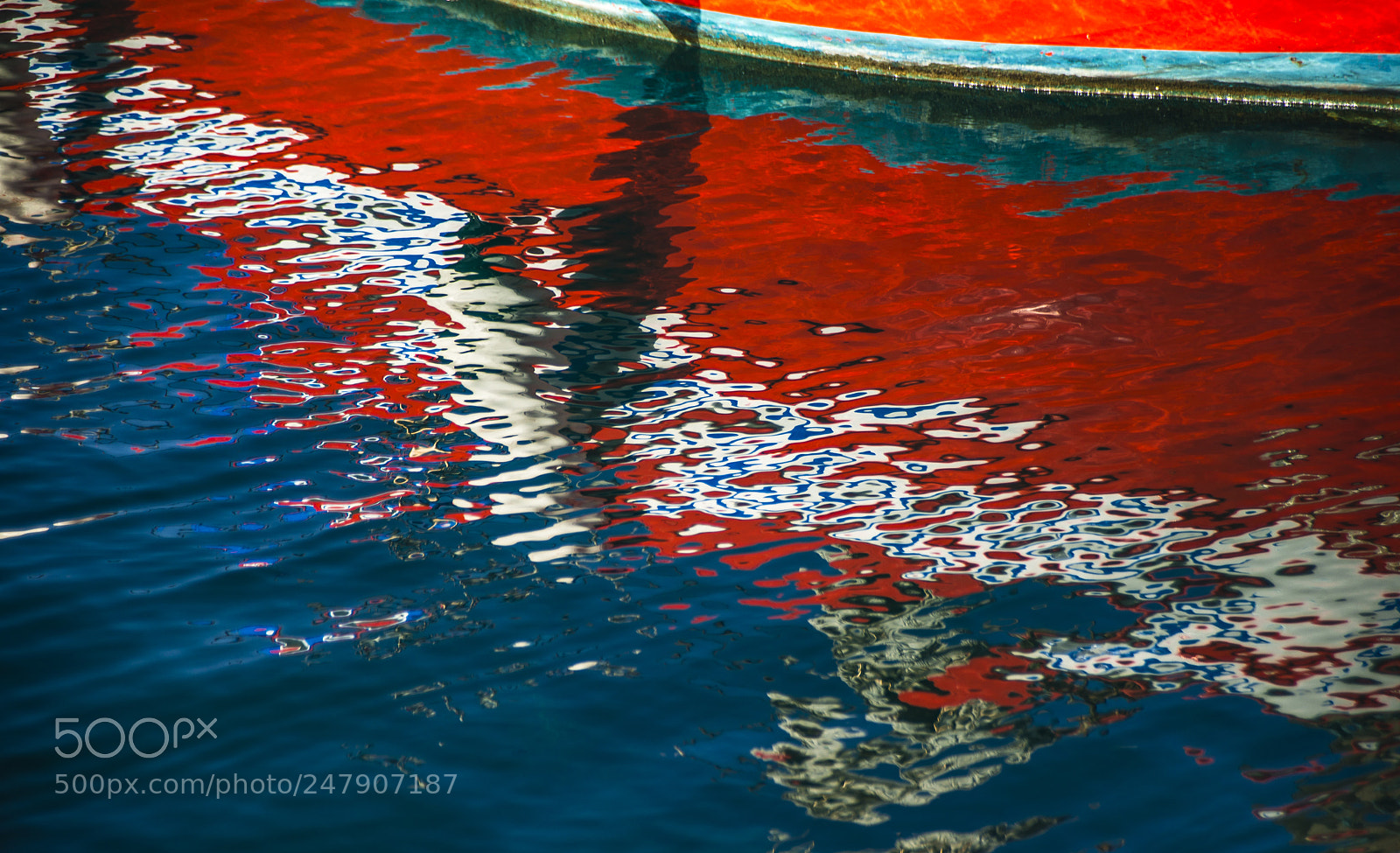 Nikon D800 sample photo. Reflection of a fish photography