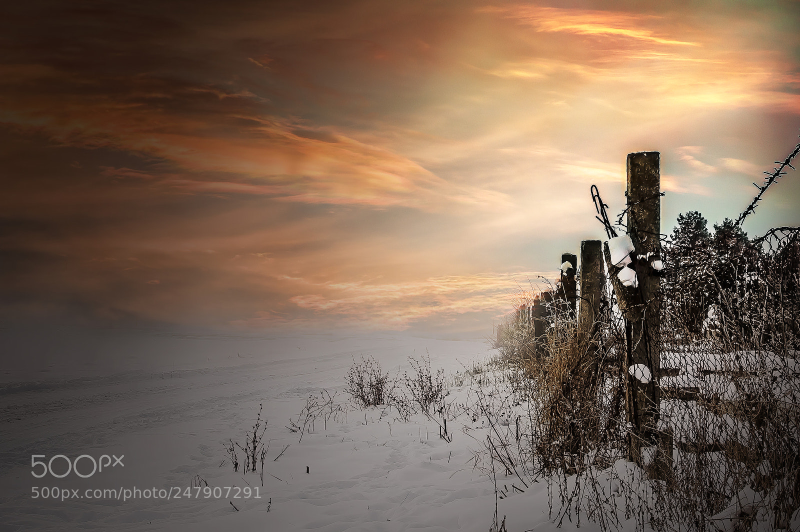Nikon D3200 sample photo. Winter at the beginning photography