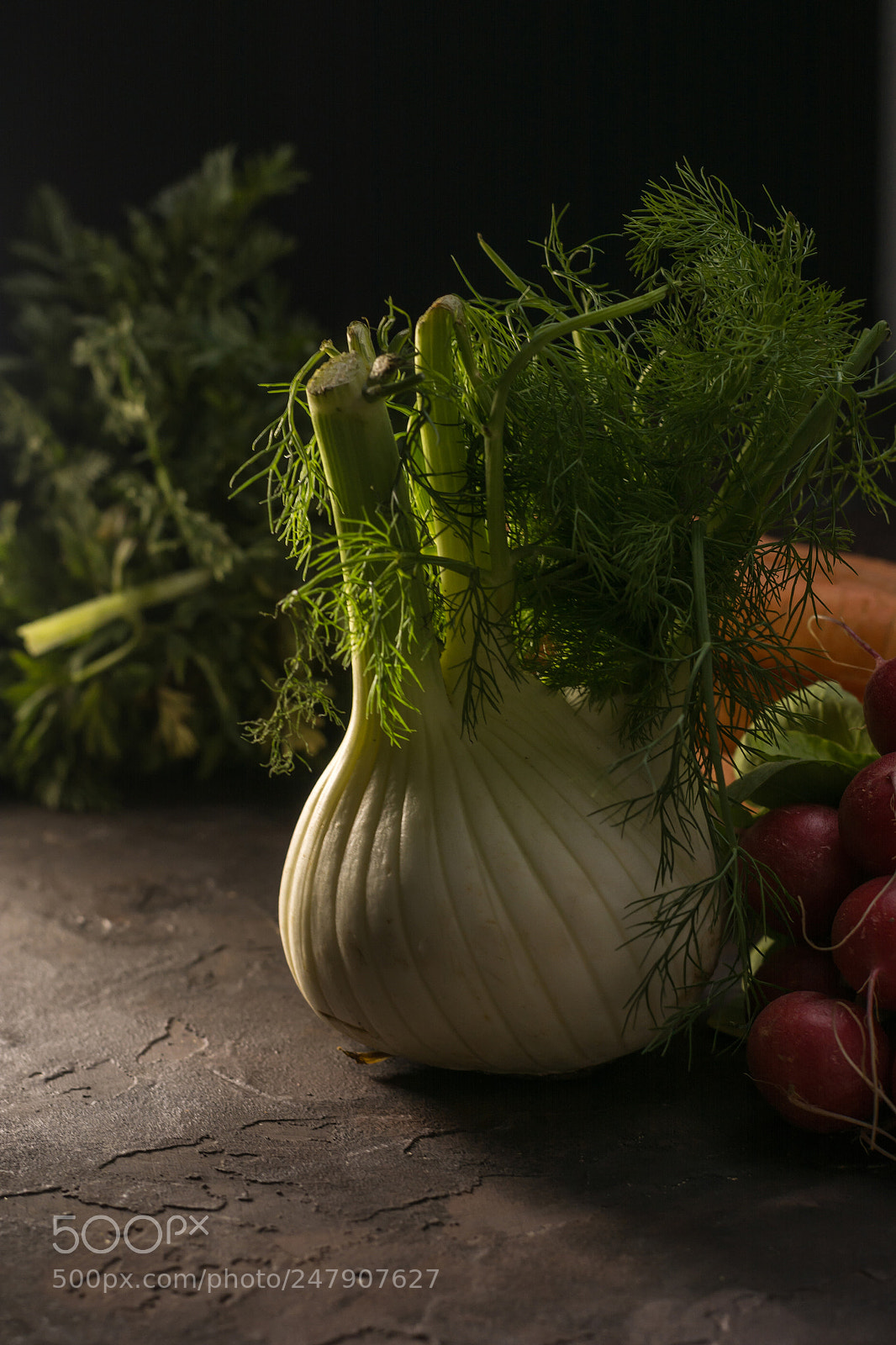 Nikon D7100 sample photo. Fresh fennel with radishes photography