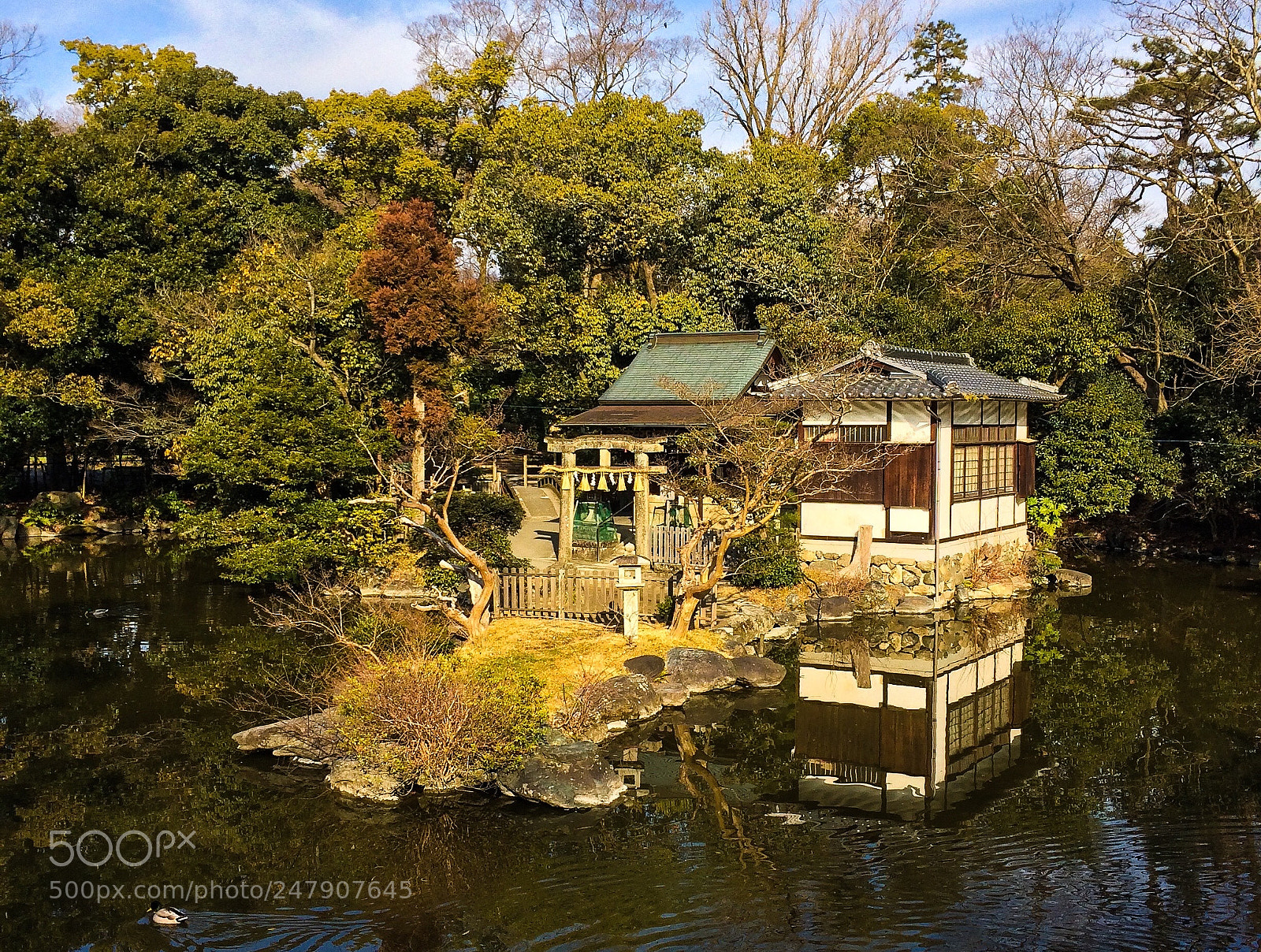 Apple iPhone 5s sample photo. Itsukushima jinjya, the floating photography