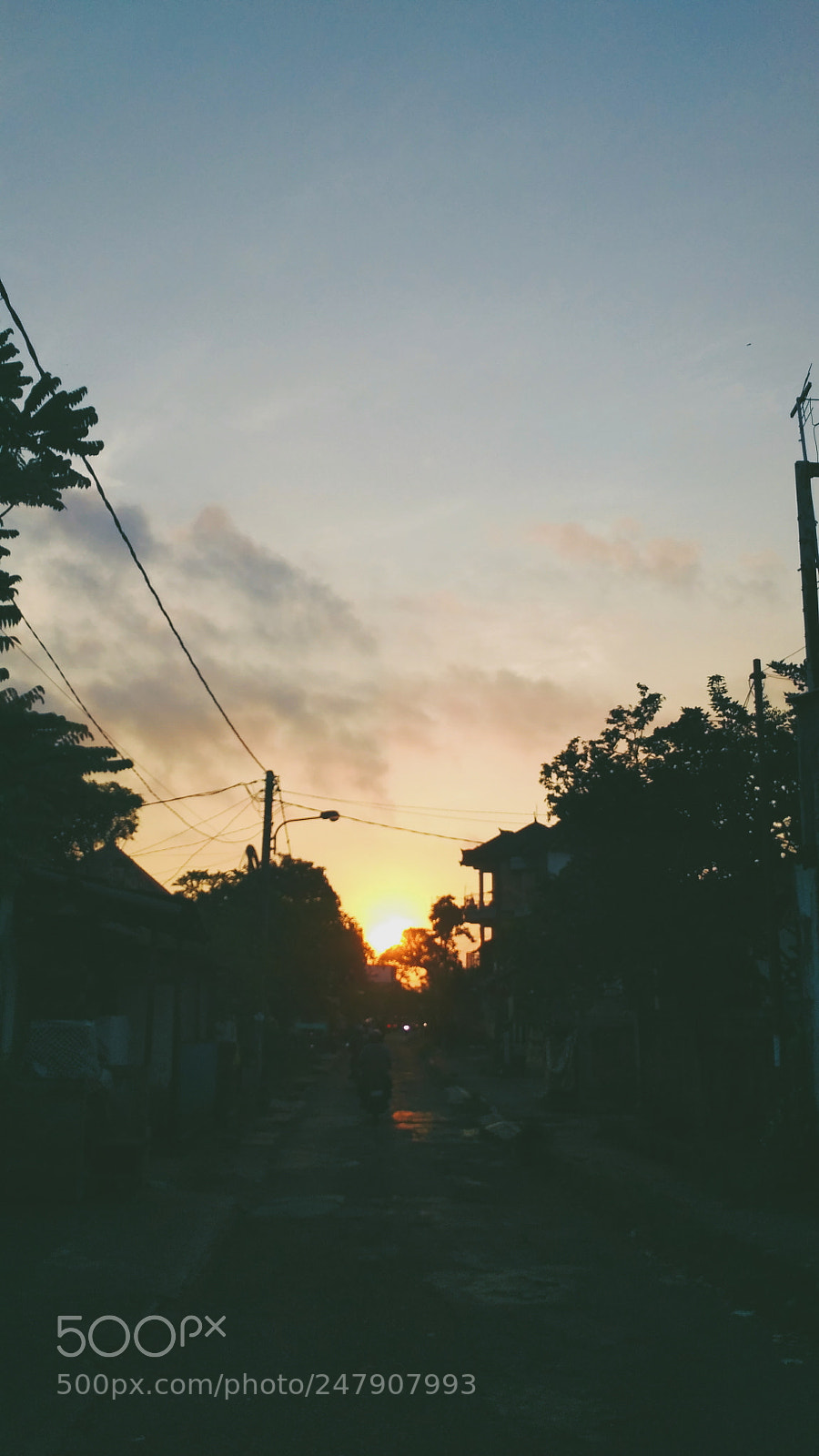Xiaomi Redmi 3S sample photo. Untitled photography