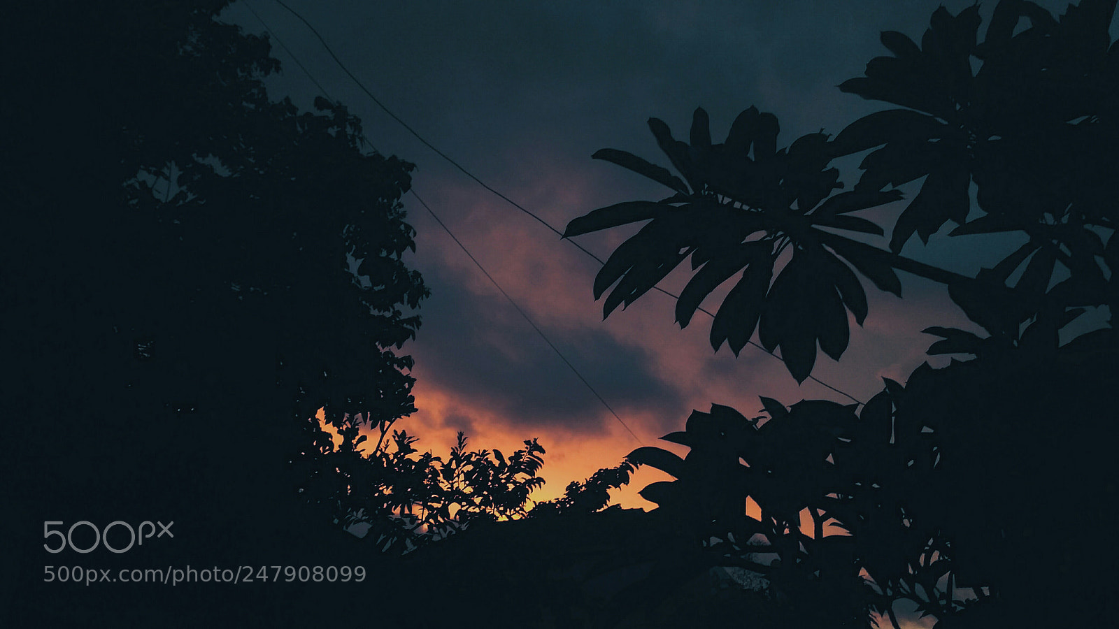Xiaomi Redmi 3S sample photo. Untitled photography